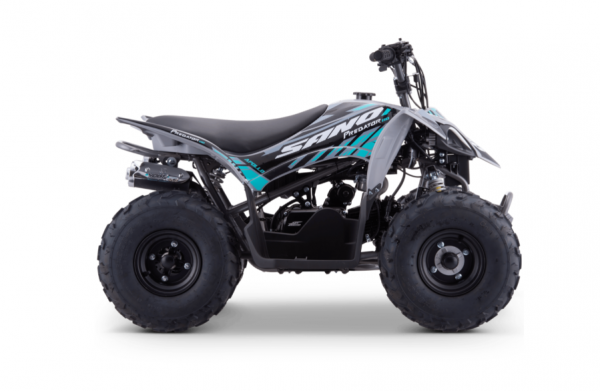 Apollo Quad Sano Predator 110cc